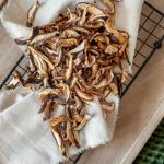 Kaltētas grieztas šitake sēnes Eco Fungus 50g 1